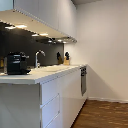 Stylish Business With Sunny Balcony, Private Garage, Free Wlan! 公寓 *